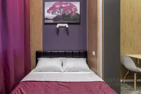 Студия Москва 12-я Парковая ул., 5 (18.0 м)