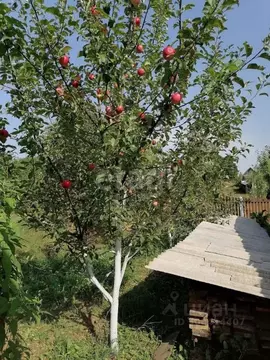 Дом в Псковская область, Невельский муниципальный округ, д. Рудня  (47 ...
