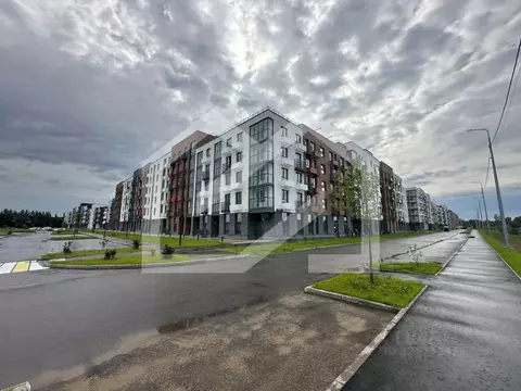 Торговая площадь в Московская область, Одинцовский городской округ, с. ...