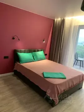 Студия Амурская область, Благовещенск Октябрьская ул., 233 (27.0 м)