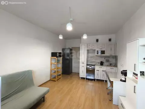 Квартира-студия: Кудрово, Европейский проспект, 3 (24 м)