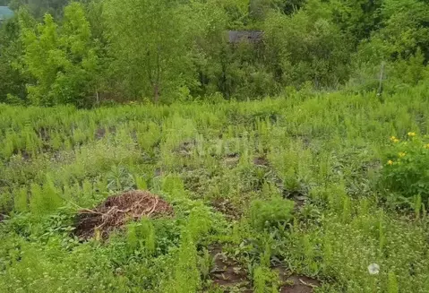 Участок в Пермский край, Пермский муниципальный округ, № 215 СНТ  ...