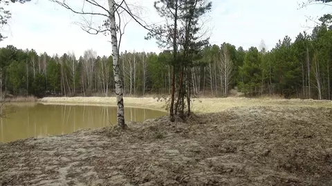 Дом в Пенза, садовое дачное товарищество Романтики (15 м)
