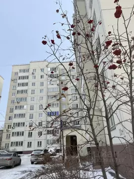 2-к кв. Омская область, Омск ул. 2-я Дачная, 12к1 (57.0 м)