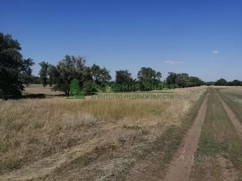 Участок в Саратовская область, Марксовский район, Подлесновское ...