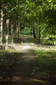 Участок в Калужская область, Думиничский муниципальный округ, Верхнее ...