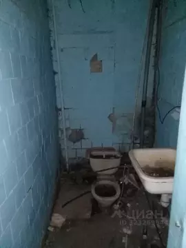 Помещение свободного назначения в Алтайский край, Зональный район, с. ...