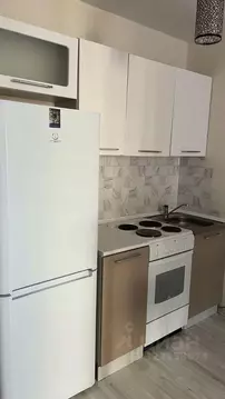 Студия Новосибирская область, Новосибирск ул. Виктора Уса, 2 (21.0 м)