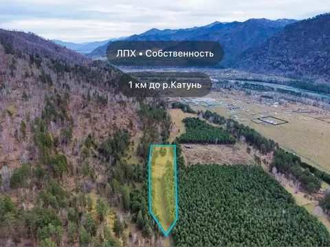 Участок в Алтай, Чемальский район, Узнезинское с/пос, с. Узнезя  (10.0 ...