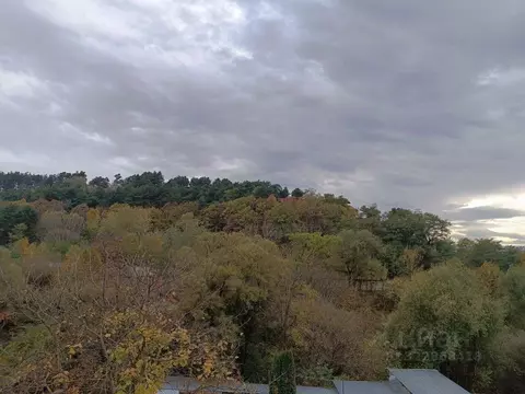 Студия Ставропольский край, Кисловодск Седлогорская ул., 116 (17.6 м)