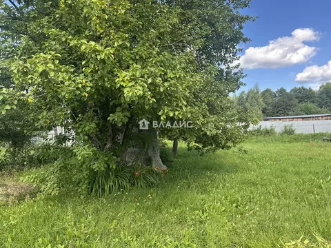 Участок в Владимирская область, Собинский муниципальный округ, ...