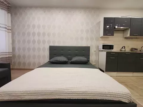 Студия Тульская область, Тула городской округ, с. Осиновая Гора, ...