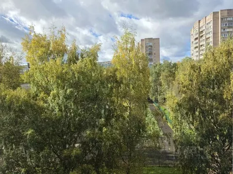 3-к кв. Санкт-Петербург ул. Сантьяго-де-Куба, 8К2 (58.5 м)