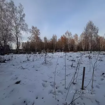 Участок в Новосибирская область, Новосибирский район, Каменский ...