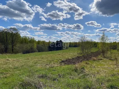 Участок в Смоленская область, Смоленский муниципальный округ, д. ...