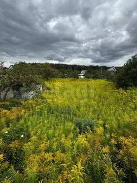 Участок в Брянская область, Брянский район, Нетьинское с/пос, Весна ...