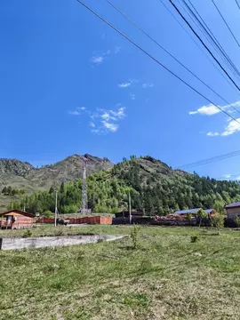 Участок в Алтай, Чемальский район, с. Чемал ул. Сосновая, 16 (11.88 ...