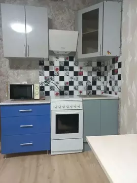 Студия Ленинградская область, Мурино Всеволожский район, аллея ...