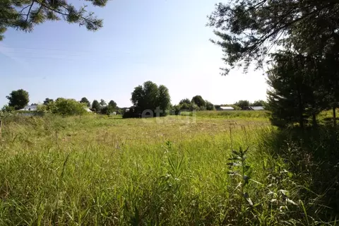 Участок в Вологодская область, Шекснинский муниципальный округ, д. ...