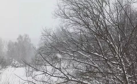Участок в Московская область, Дмитровский муниципальный округ, д. ...