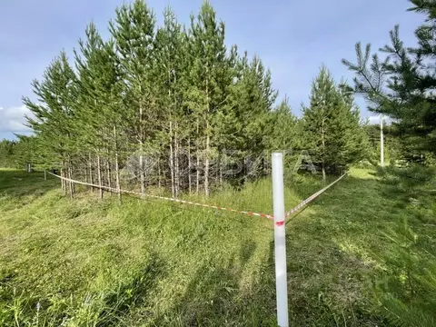 Участок в Свердловская область, Тугулым пгт ул. Березовая, 16 (12.0 ...