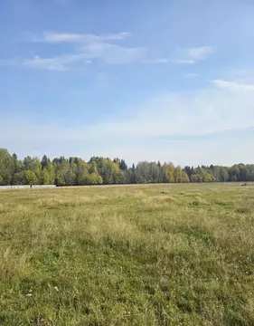 Участок в Пермский край, Пермский муниципальный округ, д. Большакино ...