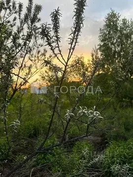 Участок в Новосибирская область, Мошковский район, пос. Октябрьский, ...