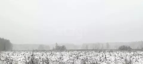 Участок в Владимирская область, Покров городской округ, д. Шиботово ...