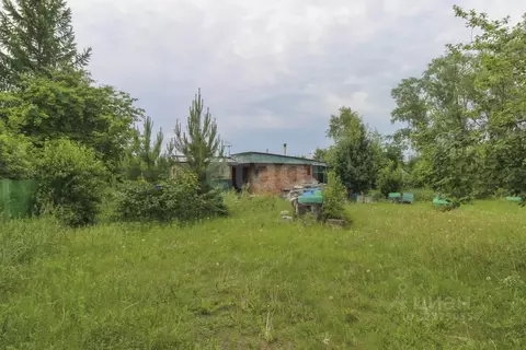 Дом в Омская область, Омский район, Новоомское с/пос, Шинник СНТ  (40 ...