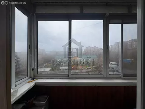 1-комнатная квартира: Красноярск, Свободный проспект, 23А (31 м)