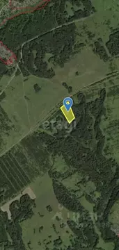 Участок в Новосибирская область, с. Новолуговое  (342.2 сот.)