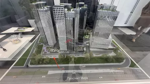 Торговая площадь в Москва просп. Мира, 222 (38 м)