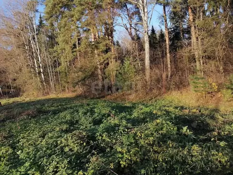 Участок в Калужская область, Боровский муниципальный округ, д. ...