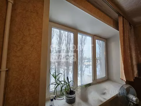 1-к кв. Липецкая область, Липецк Матырский мкр, ул. Энергостроителей, ...