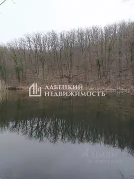 Помещение свободного назначения в Крым, Белогорский район, Курское ...