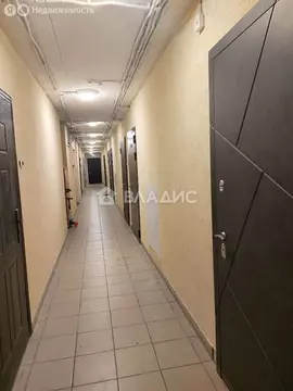 Квартира-студия: Мурино, улица Шоссе в Лаврики, 67 (24.3 м)