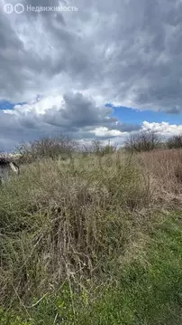 Участок в село Толмачево, СДТ Русь (5 м)