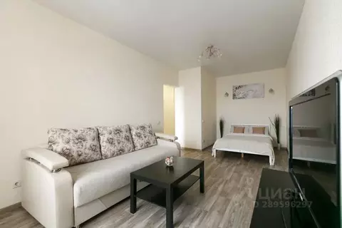 1-к кв. Новосибирская область, Новосибирск ул. 1905 года, 85/2 (42.0 ...