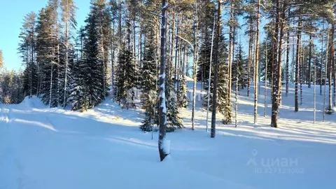 Участок в Ленинградская область, Всеволожский район, Куйвозовское ...