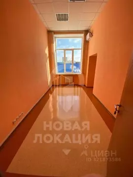 Офис в Омская область, Омск ул. Потанина, 87 (16 м)