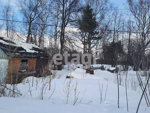 Участок в Владимирская область, Меленковский муниципальный округ, д. ...