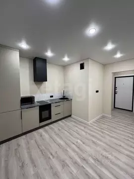 Студия Челябинская область, Миасс ул. Богдана Хмельницкого, 56 (24.3 ...