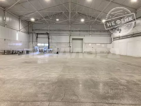 Склад в Ростовская область, Аксайский район, Большелогское с/пос, пос. ...