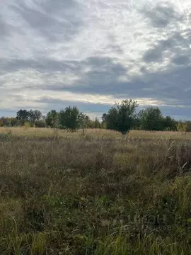 Участок в Татарстан, Лаишевский район, Рождественское с/пос, д. ...