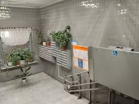 1-комнатная квартира: Санкт-Петербург, улица Ушинского, 37к2 (36.4 м)