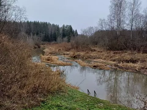 Участок в Московская область, Можайский муниципальный округ, Искона ...