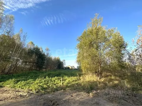 Участок в Владимирская область, Ковровский район, Малыгинское с/пос, ...