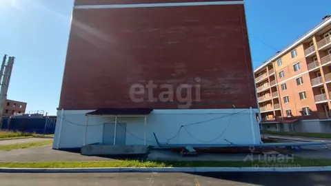 Торговая площадь в Хабаровский край, Хабаровский район, с. Мирное ...