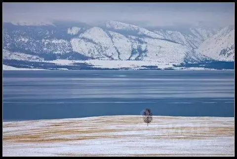 Участок в Иркутская область, Ольхонский район, пос. Хужир ул. Морская, ...