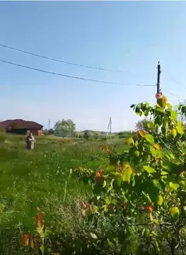 Участок в Ростовская область, Азовский район, Маргаритовское с/пос, ...